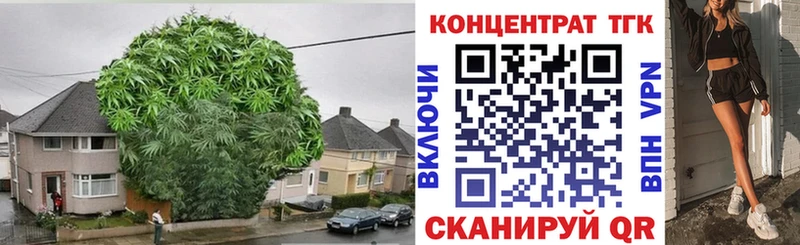 Дистиллят ТГК гашишное масло  гидра ТОР  Иннополис 