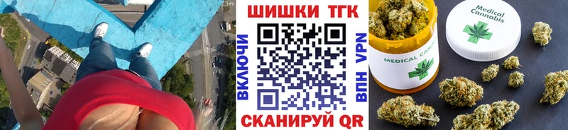 купить наркотики цена  Иннополис  мега ONION  Конопля сатива 